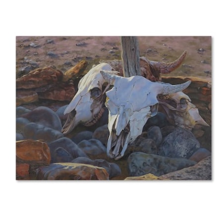 Rusty Frentner 'Where The Buffalo Used To Roam' Canvas Art,18x24